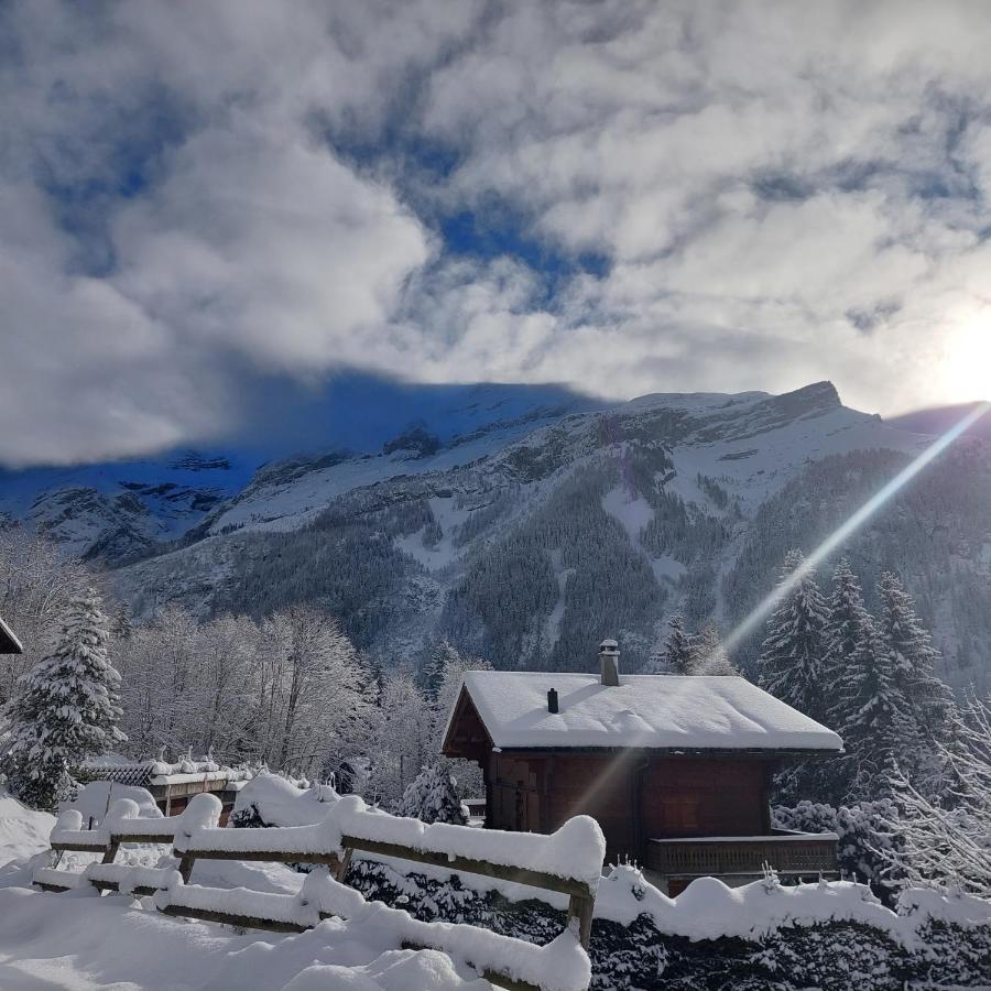 Chambre D'Hotes L'Ours Bleu Les Diablerets Bagian luar foto